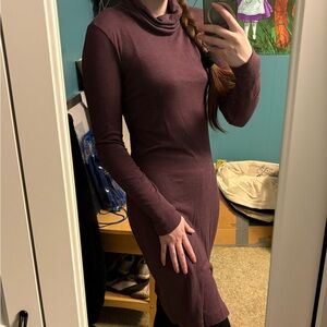 Nai Dress Maroon Long Sleeve Turtleneck Dress